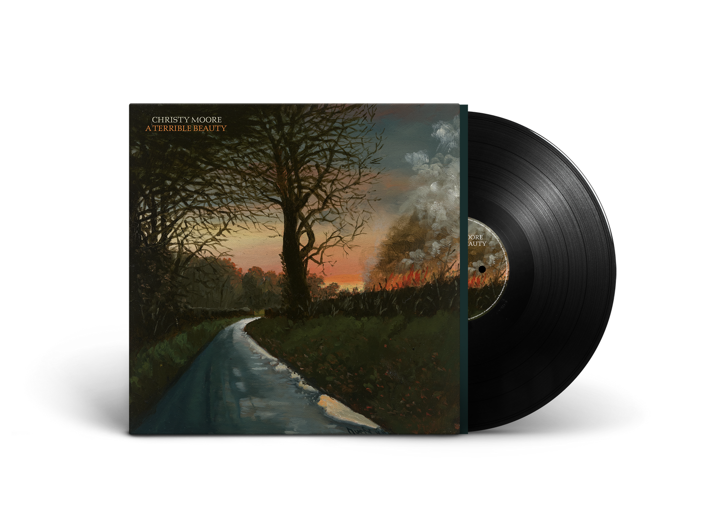 A Terrible Beauty - Christy Moore [VINYL]