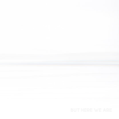 But Here We Are - Foo Fighters [Colour Vinyl]