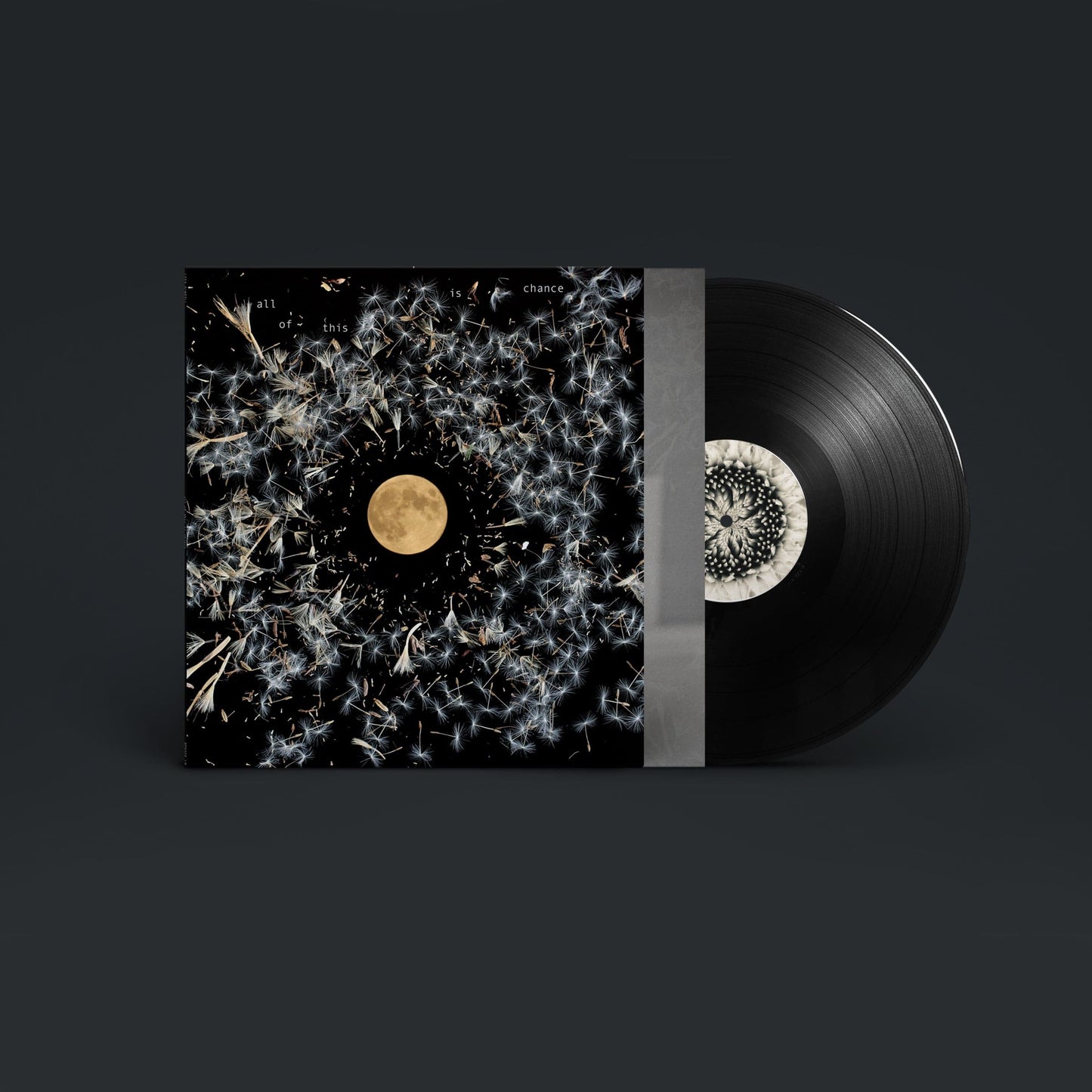 All of This Is Chance:   - Lisa O'Neill [VINYL]