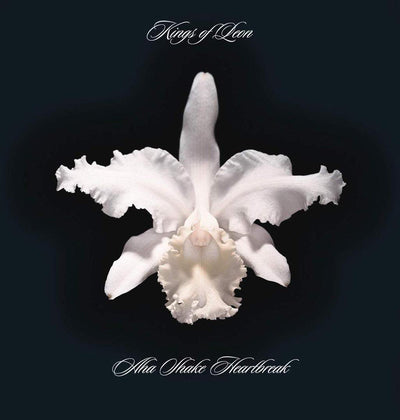 Aha Shake Heartbreak - Kings of Leon [VINYL]