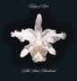 Aha Shake Heartbreak - Kings of Leon [VINYL]