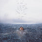Wonder:   - Shawn Mendes [VINYL]
