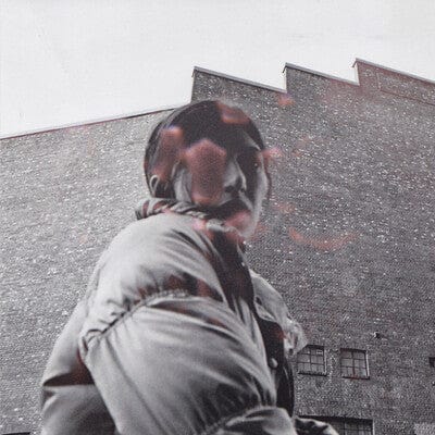 Warm Chris:   - Aldous Harding [VINYL]