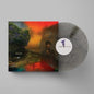 We've Been Going About This All Wrong: (Limited Edition) - Sharon Van Etten [Colour Vinyl]